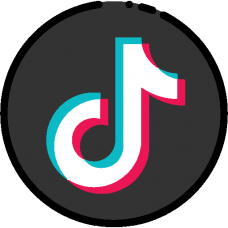 TikTok for Local Businesses: Attract Customers and Grow Your Business with TikTok Ads in 2023
